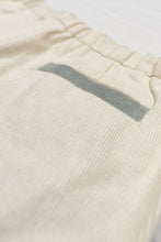 Load image into Gallery viewer, Washed Apparel Shorts