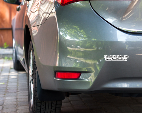 I Bought This Before We Knew Elon Was Crazy Bumper Sticker